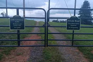 193 Little Grindstone Ln, Millers Creek, NC 28651 - Photo 19