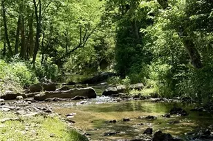 920 Pennell Rd, Moravian Falls, NC 28654 - Photo 25