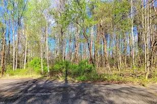 5091 Donna Marie Ct, Walkertown, NC 27051 - Photo 1