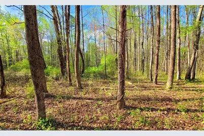 5091 Donna Marie Court, Walkertown, NC 27051 - Photo 5