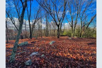 338 Sierra Trace Road, Denton, NC 27239 - Photo 3