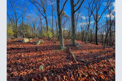 338 Sierra Trace Road, Denton, NC 27239 - Photo 5