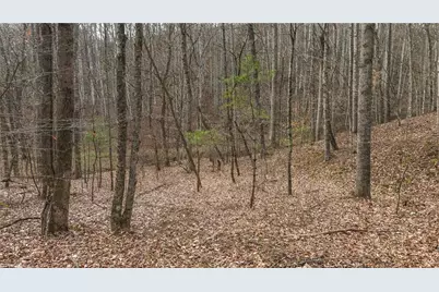 0000 Foster Oliver Lane, Lansing, NC 28643 - Photo 29