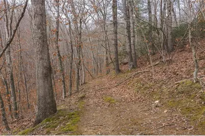 0000 Foster Oliver Lane, Lansing, NC 28643 - Photo 9