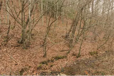 0000 Foster Oliver Lane, Lansing, NC 28643 - Photo 7