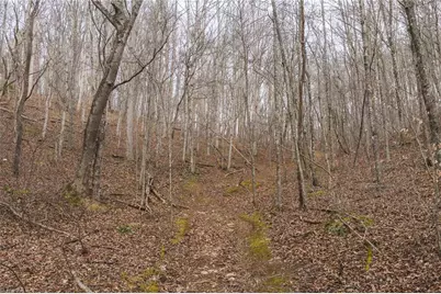 0000 Foster Oliver Lane, Lansing, NC 28643 - Photo 3