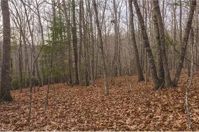 0000 Foster Oliver Lane, Lansing, NC 28643 - Photo 27