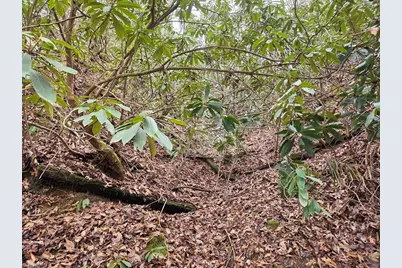 Lot 105 Holleridge Road, Ferguson, NC 28624 - Photo 5