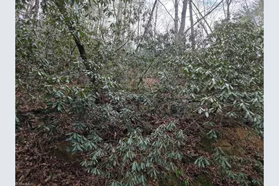 Lot 105 Holleridge Road, Ferguson, NC 28624 - Photo 7