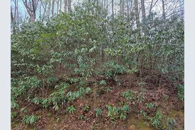 Lot 105 Holleridge Road, Ferguson, NC 28624 - Photo 19