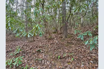 Lot 105 Holleridge Road, Ferguson, NC 28624 - Photo 13