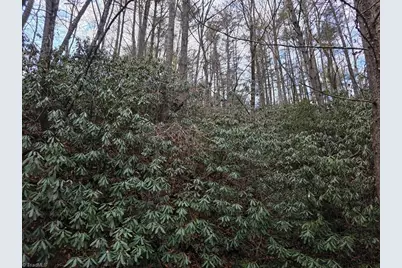 Lot 106 Holleridge Road, Ferguson, NC 28624 - Photo 9