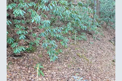 Lot 106 Holleridge Road, Ferguson, NC 28624 - Photo 23