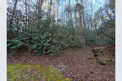 Lot 106 Holleridge Road, Ferguson, NC 28624 - Photo 25