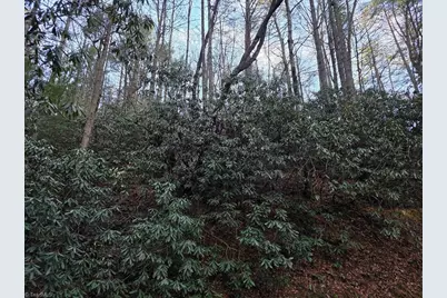 Lot 106 Holleridge Road, Ferguson, NC 28624 - Photo 15