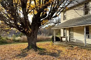 7246 Old US Hwy 64, Trinity, NC 27370 - Photo 13