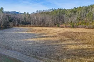 1325 Colvard Rd, Millers Creek, NC 28651 - Photo 15