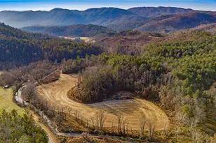 1325 Colvard Rd, Millers Creek, NC 28651 - Photo 17