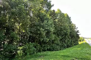 00 S Hwy 220, Madison, NC 27025 - Photo 1