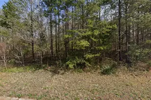 7411 Birchbend Ln, Lewisville, NC 27023 - Photo 1