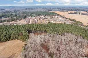 3225 Back Acres Rd, Efland, NC 27243 - Photo 43