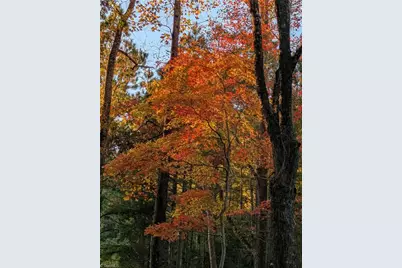 3225 Back Acres Road, Efland, NC 27243 - Photo 39