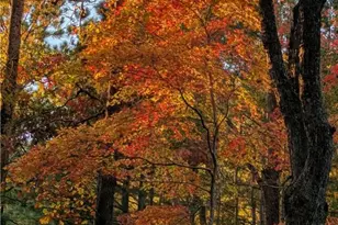 3225 Back Acres Rd, Efland, NC 27243 - Photo 39