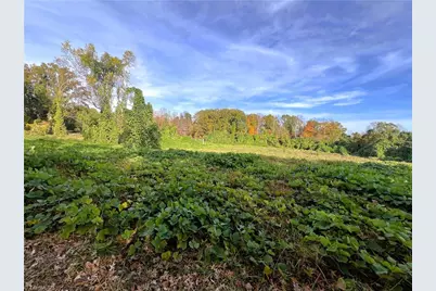 8313 Wrights Farm Lane, Summerfield, NC 27358 - Photo 43