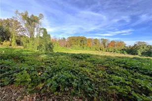 8313 Wrights Farm Ln, Summerfield, NC 27358 - Photo 43