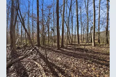 0 S Peace Haven Road, Winston-Salem, NC 27104 - Photo 5