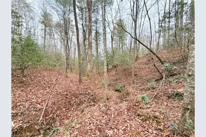 Tbd Shumate Mountain Road, Hays, NC 28635 - Photo 7