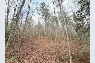 Tbd Shumate Mountain Road, Hays, NC 28635 - Photo 5