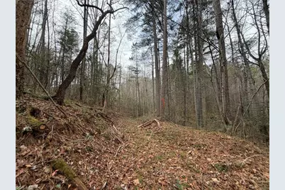 Tbd Shumate Mountain Road, Hays, NC 28635 - Photo 15