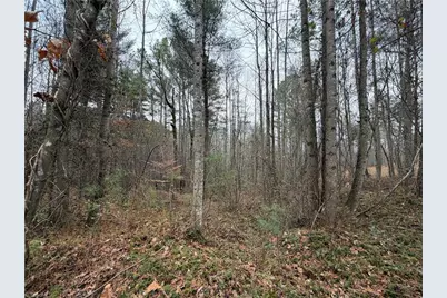 Tbd Shumate Mountain Road, Hays, NC 28635 - Photo 13