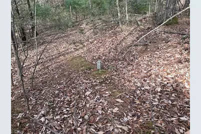 Lot 21 Buck Mountain Road, Purlear, NC 28665 - Photo 13