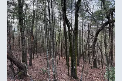 Lot 21 Buck Mountain Road, Purlear, NC 28665 - Photo 17