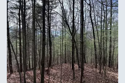 Lot 21 Buck Mountain Road, Purlear, NC 28665 - Photo 7