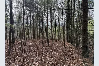 Lot 21 Buck Mountain Road, Purlear, NC 28665 - Photo 15