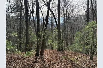 Lot 21 Buck Mountain Road, Purlear, NC 28665 - Photo 1