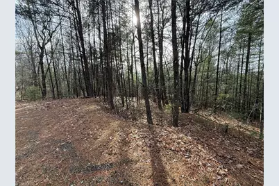 Lot 21 Buck Mountain Road, Purlear, NC 28665 - Photo 3