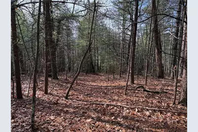 Lot 21 Buck Mountain Road, Purlear, NC 28665 - Photo 7