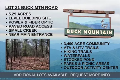 Lot 21 Buck Mountain Road, Purlear, NC 28665 - Photo 1