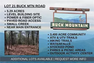 Lot 21 Buck Mountain Rd, Purlear, NC 28665 - Photo 1