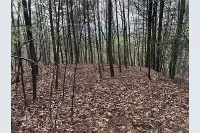 Lot 21 Buck Mountain Road, Purlear, NC 28665 - Photo 13