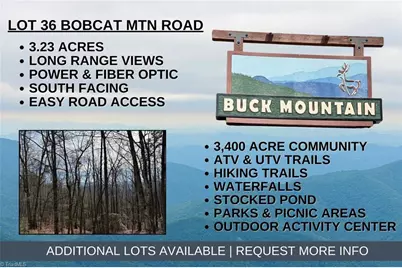 Lot 36 Bobcat Mountain Road, Purlear, NC 28665 - Photo 1