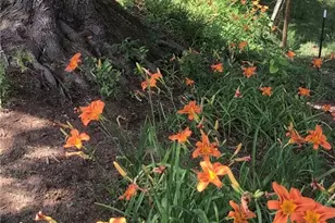 4105 Boone Trail, North Wilkesboro, NC 28659 - Photo 19