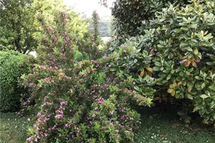 4105 Boone Trail, North Wilkesboro, NC 28659 - Photo 15