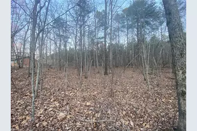 4707 Jaylee Place, Julian, NC 27283 - Photo 9