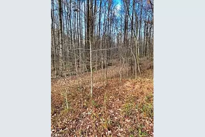 0 Gravitte Road, Roxboro, NC 27573 - Photo 7