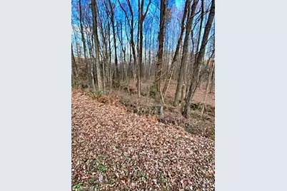 0 Gravitte Road, Roxboro, NC 27573 - Photo 5